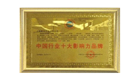 蓝美荣获十大影响力品牌证书